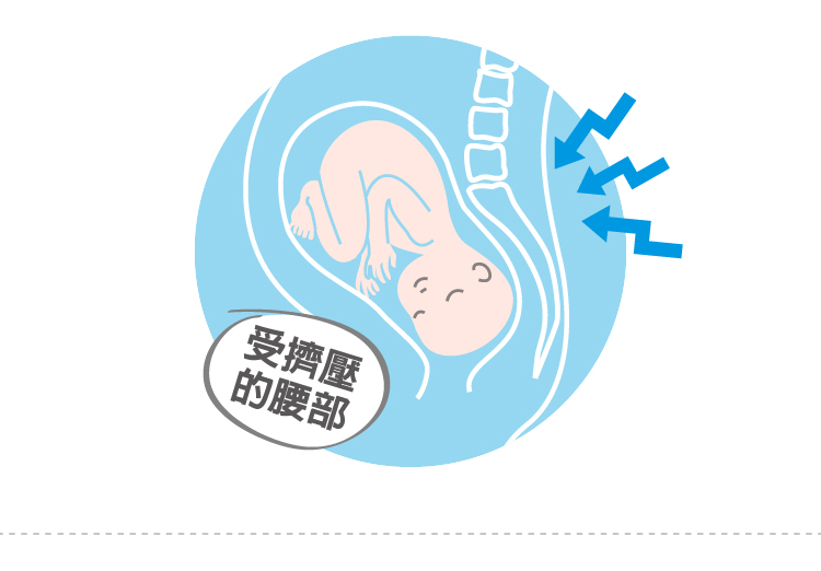 六甲村 Mammy Village - 簡易式托腹帶-F (腰圍127cm以內)