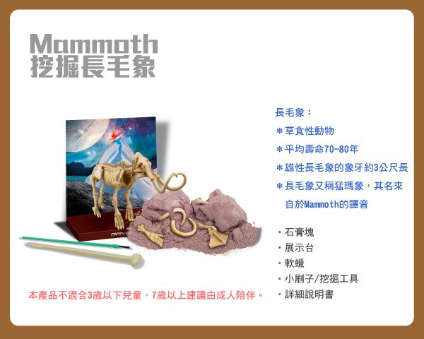 香港4M創意玩具 - 挖掘長毛象 Mammoth Skeleton