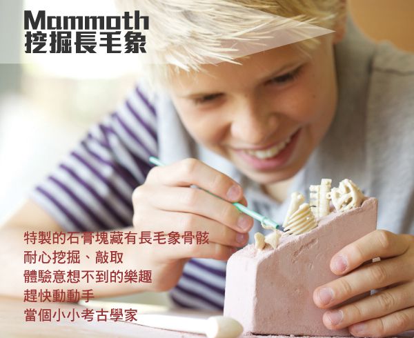 香港4M創意玩具 - 挖掘長毛象 Mammoth Skeleton
