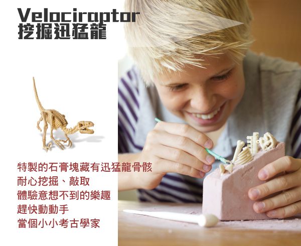 香港4M創意玩具 - 挖掘迅猛龍 Velociraptor Skeleton