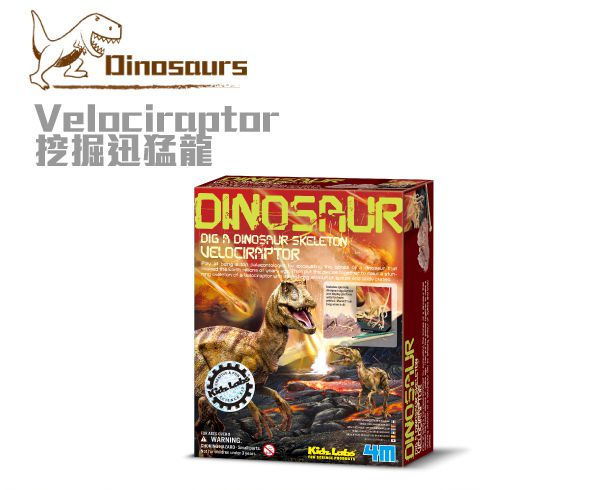 香港4M創意玩具 - 挖掘迅猛龍 Velociraptor Skeleton