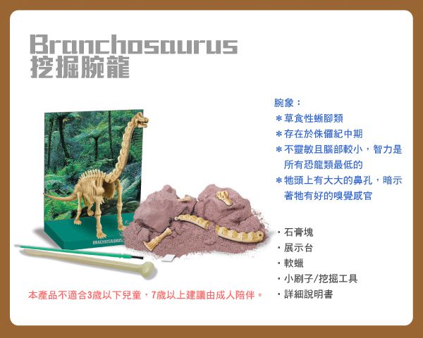 香港4M創意玩具 - 挖掘腕龍 Branchosaurus Skeleton