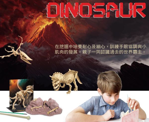 香港4M創意玩具 - 挖掘腕龍 Branchosaurus Skeleton