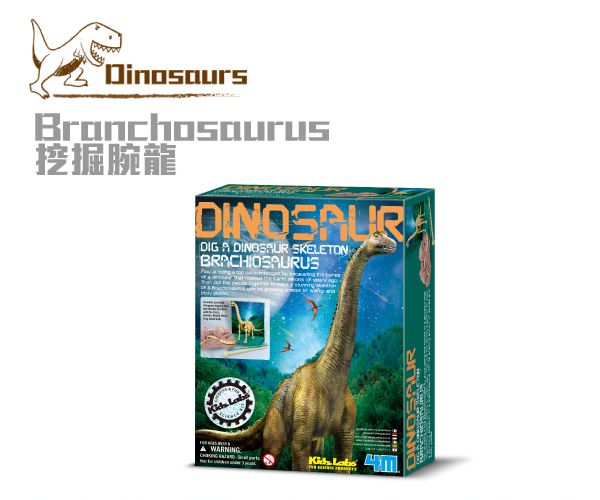 香港4M創意玩具 - 挖掘腕龍 Branchosaurus Skeleton