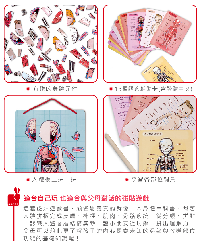 法國Janod - 【熱賣】磁鐵遊戲書-我的身體