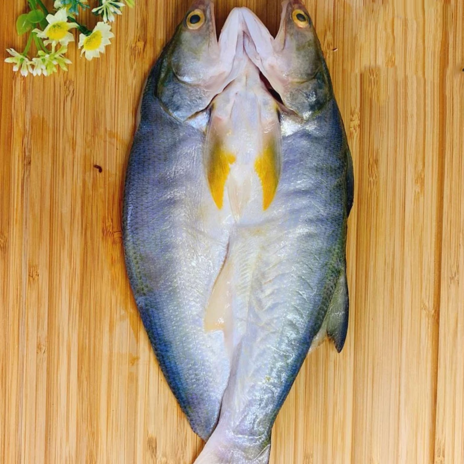 嚴選-特級午仔魚一夜干 300公克/隻