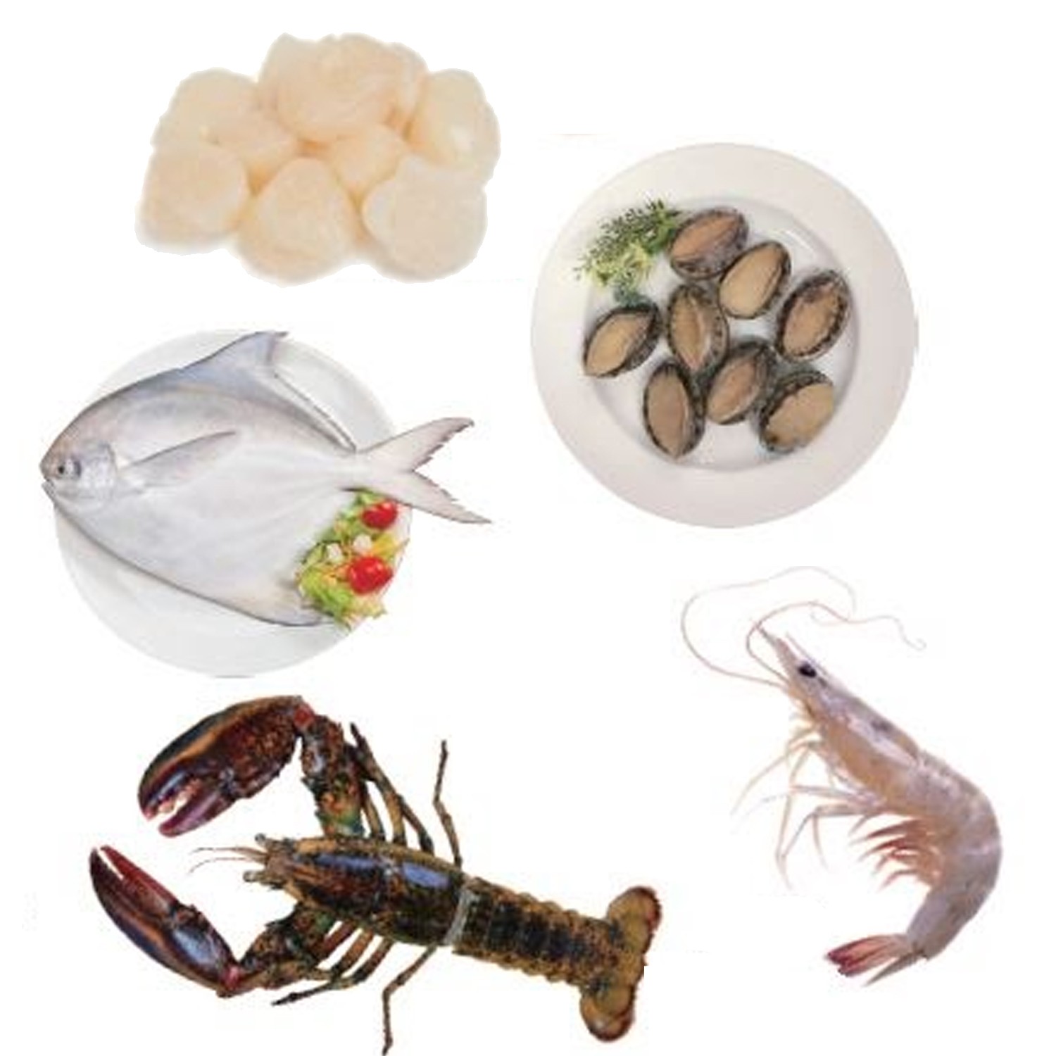 財運鯧龍蝦蝦叫免運套餐-美洲白晶蝦 20/30規格-特大500公克*2+加拿大波士頓龍蝦-400-450公克*1+活凍帶殼鮑魚 300公克/約10顆*1+野生頂級白鯧 400-500 公克*1+北海道干貝 S生食級 250公克 (約8~9顆)*1