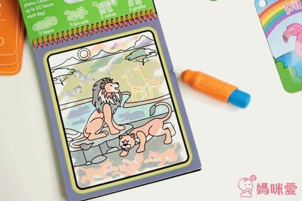 美國瑪莉莎 Melissa & Doug 旅遊樂-水畫冊