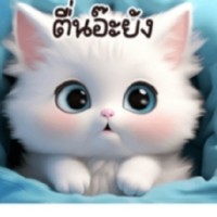 author-avatar